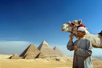 Pyramiden von Gizeh, Kamel, Rundreise Ägypten, pauschalreise ägypten