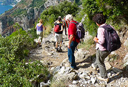 Afbeelding zonder ALT