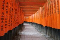 Fushimi, Japan, Kyoto, rundreise japan 3 wochen, Japan Rundreise 3 Wochen