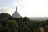 Stupa, Natur, Anuradhapura, Sri Lanka