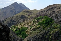 Terrassenfelder, Hoher Atlas, Marokko, marokko wandern