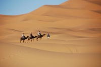 Sahara, Wüste, Marokko, Kamele, Marokko mit Kindern