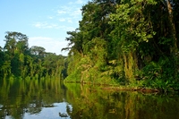 Fluss auf dem Weg nach Tortuguero, rundreise costa rica 3 wochen