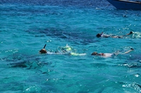 Karibik, Meer, Schnorcheln, Kuba mit Kindern