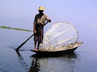 Myanmar Inle See Einbeinruderer