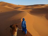 Wüste, Sand, Kamel, Erg Chebbi, Rundreise Marokko, Marokko Urlaub
