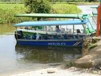 Ein Boot, welches auf dem Fluss im Tortuguero Nationalpark steht 