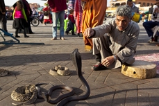 schlangenbeschwörer, Marrakesch, Souks, Djoser, Erlebnisreisen