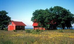 Saaremaa, Estland, Landschaft, Rundreise Baltikum, Rundreise Finnland