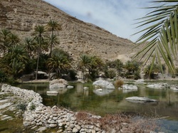 Wadi Bani Khalid, Oase, Oman, Rundreise Oman, Oman Rundreise