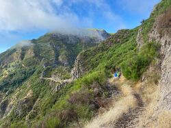 Madeira, Wanderung, Natur, Wanderweg