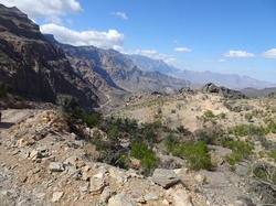 Jabal Akhdar, Oman, Landschaft, Rundreise Oman, Oman Rundreise