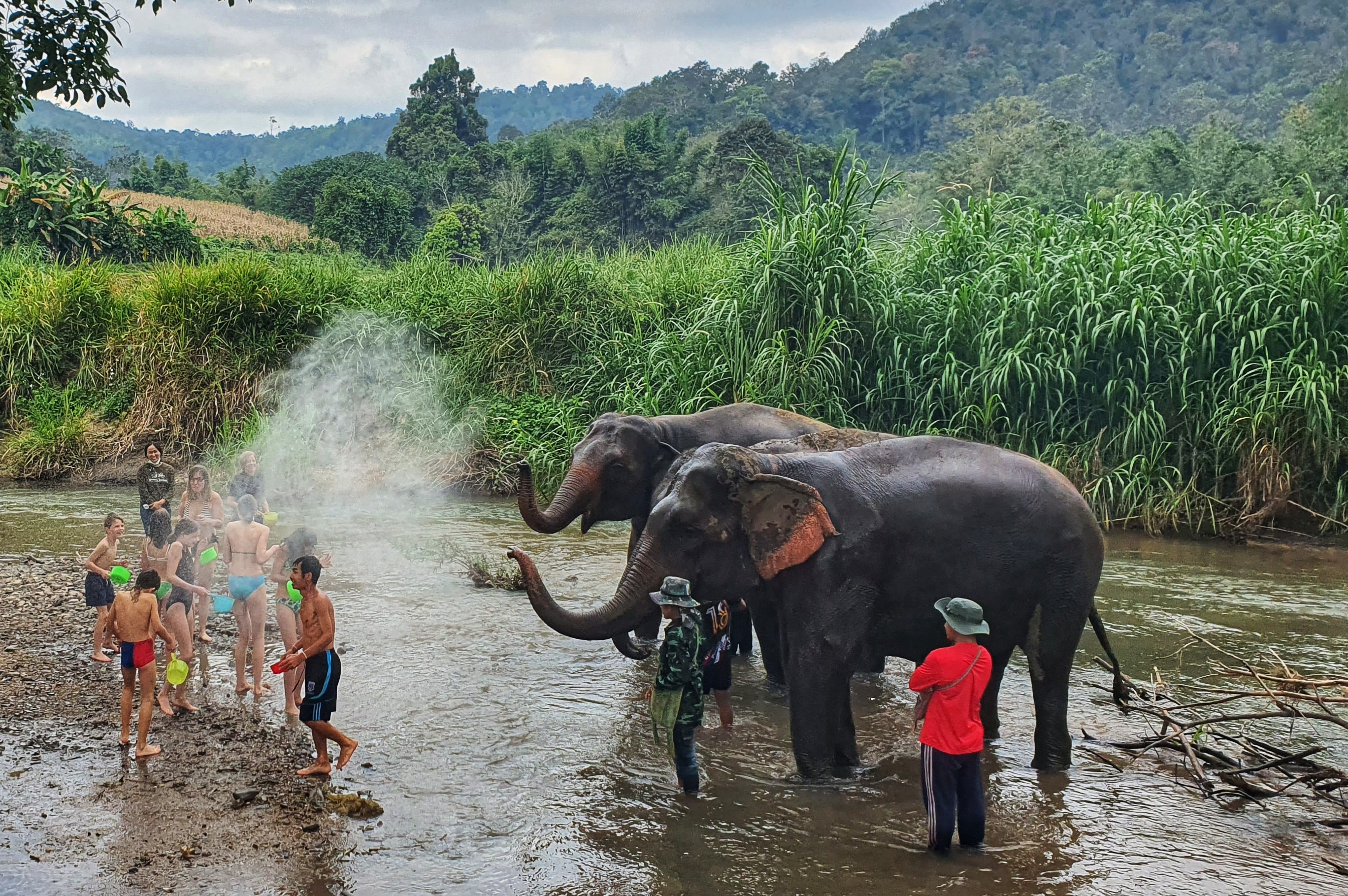 Thailand, Elefanten, Familienreise