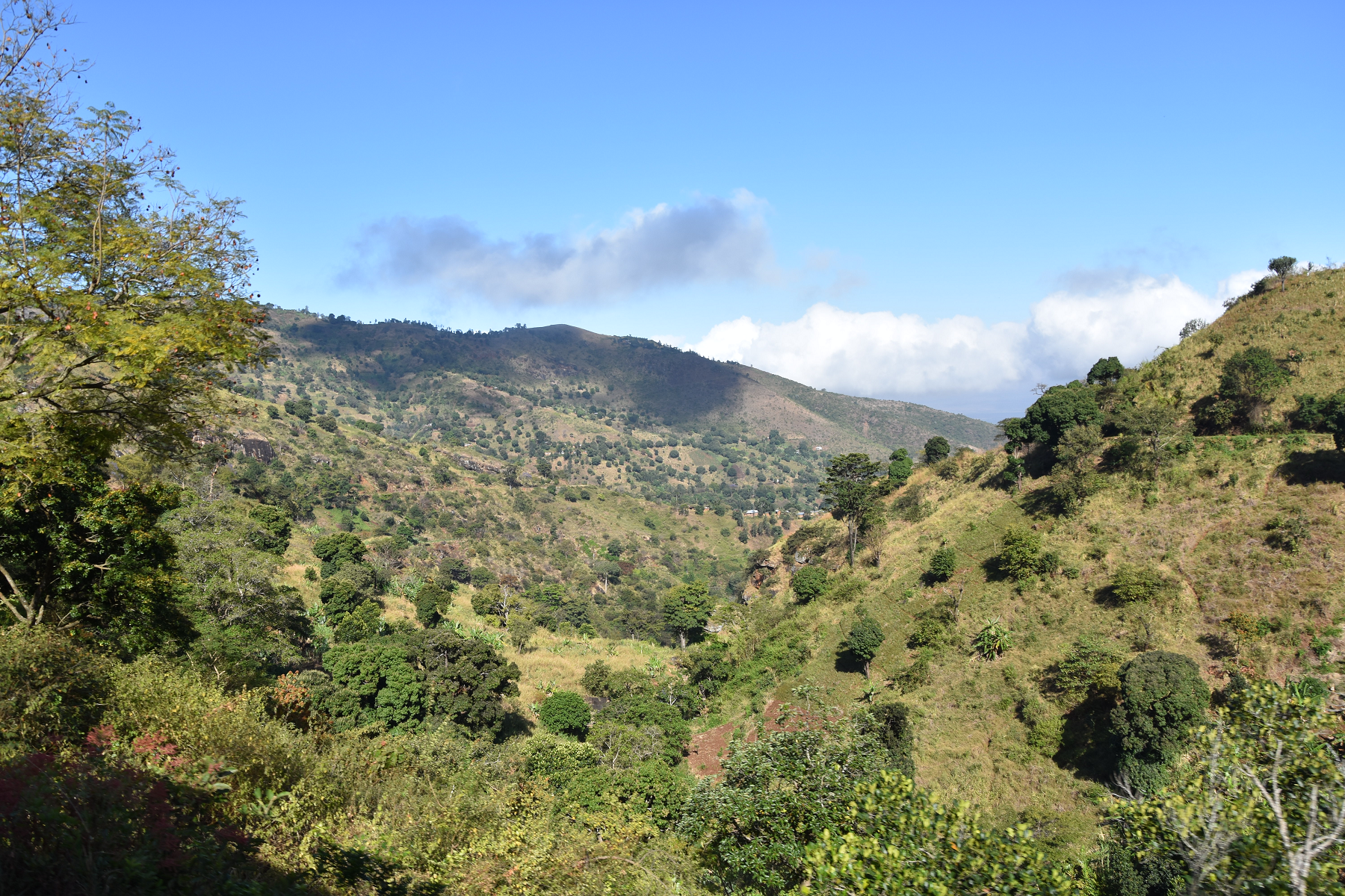 Rundreise Kenia, Rundreise Tansania, Usambara-Berge, Natur